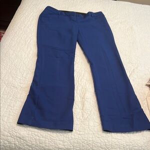 Women's Blue Flared Pants